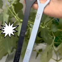 آچار همه کاره|ابزارآلات|اصفهان, قلعه طبره|دیوار