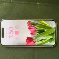 Iphone 15|موبایل|مشهد, وکیل‌آباد|دیوار
