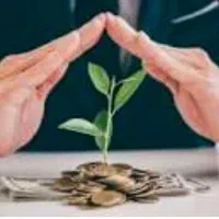 سرمایه گزاری با تضمین ملکی تامین کالای فروشگاهی