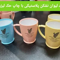 لیوان پلاستیکی ، جاکلید چرمی ، خودکار