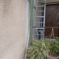 کاکتوس پریانوس