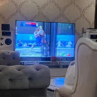 تلوزیون روشن ۶۵