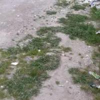 زمین|فروش زمین و ملک کلنگی|رشت, سلیمانداراب|دیوار