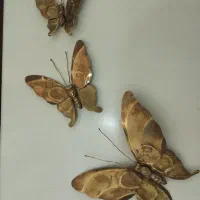 پروانه مسی دیواری