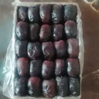 خرما|عمده‌فروشی|هیدوچ, |دیوار