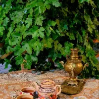 اقامتگاه وبوم گردی انارستون|اجارهٔ کوتاه‌مدت ویلا و باغ|فردوس (خراسان), |دیوار