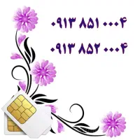 0913.851.0004|سیمکارت|یزد, |دیوار