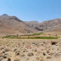 فروش مزرعه ۶ دانگ شخصی