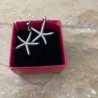 گوشواره نقره