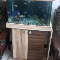 آکواریوم شیشه خم با کمد|ماهی|خاوران, |دیوار