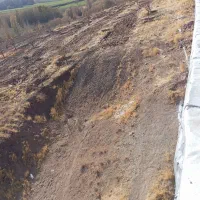 یک باغ به مساحت 0.75 کیلومتر|فروش زمین و ملک کلنگی|نورآباد, |دیوار