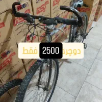 دوچرخه|دوچرخه، اسکیت، اسکوتر|میانه, |دیوار