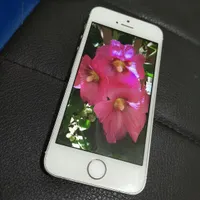 اپل iPhone 5s با حافظهٔ ۶۴ گیگابایت|موبایل|تهران, استاد معین|دیوار