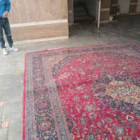 فرش دستباف|فرش|مشهد, مهدی آباد|دیوار