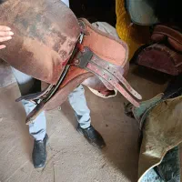 زین شیرازی|اسب و تجهیزات اسب‌سواری|کرمان, |دیوار