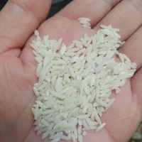 برنج  هاشمی  ۱۵۰ کیلو اسالم