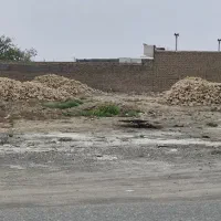 زمین فروشی شهرستان کاشمر - اول روستای زنده جان|فروش زمین و ملک کلنگی|کاشمر, |دیوار