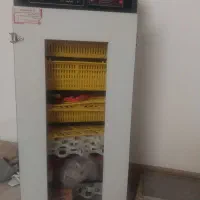 دستگاه جوجه کشی ۲۱۰تایی هدایت