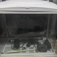 اکواریوم