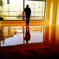 کفسابی تخصصی تضمینی تمام مناطق کف سالی ساب زن نانو