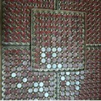 درجه کپسول خاموش کننده آتش
