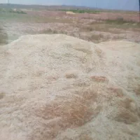 فروش کاه گندم فوری