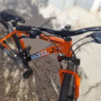 دوچرخه Sadool نو|دوچرخه، اسکیت، اسکوتر|صدرا-فارس, فاز ۱|دیوار