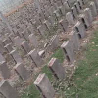 بلوک ۱۰ سانتی