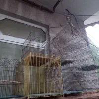 لوازم جانبی قفس