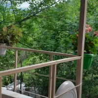 ویلا.سوئیت جنگلی|اجارهٔ خانه و ویلا|ماکلوان, |دیوار