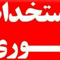 مدیر تولید یک نفر .  کارشناس فروش یک نفر