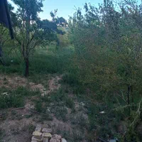 باغ خانه ویلا روستای زواریان املاک معصومی|فروش خانه و ویلا|قم, هفت تیر|دیوار