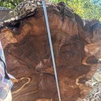 فروش چوب گردو قدیمی قهوه ای|عمده‌فروشی|مزایجان, |دیوار