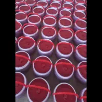 رب گوجه فله ای شرکتی به قیمت عمده درجه یک|خوردنی و آشامیدنی|مرودشت, فرهنگ|دیوار