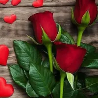 کارت عابربانک پیداشده