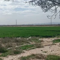 100هکتار-زمین-کشاورزی-و-باغ-پسته-بحر-جاده