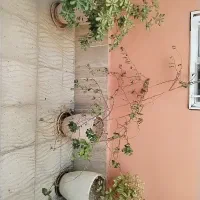 گل و گلدان ها