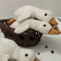 غاز|اسباببازی|تربتحیدریه, طالقانی|دیوار