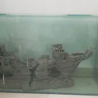 آکواریوم|ماهی|اسلام‌شهر, شهرک قائمیه|دیوار