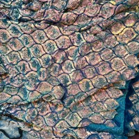 لباس محلی|لباس|خانمیرزا, |دیوار