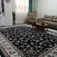 واحد ۶۵ متری