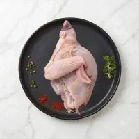 سینه مرغ  برای فردا فقط فقط ۳۲۰هزار فقط تماس