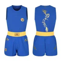 تعدادی وسایل ووشو