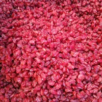 زرشک اناری درجه یک|خوردنی و آشامیدنی|درمیان, |دیوار