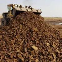 کود گاوی سوخته