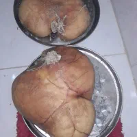 قرمه گوسفندی