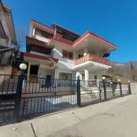 کوهستانی ییلاقی جنگلی