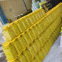 زیتون جنگلی
