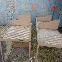قفسه میوه فروشی