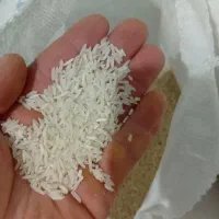 برنج طارم روشن درجه 1